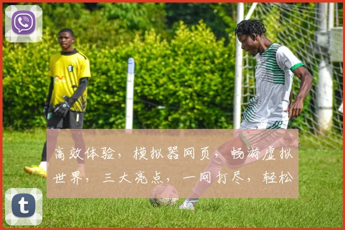 高效体验，模拟器网页，畅游虚拟世界，三大亮点，一网打尽，轻松上手