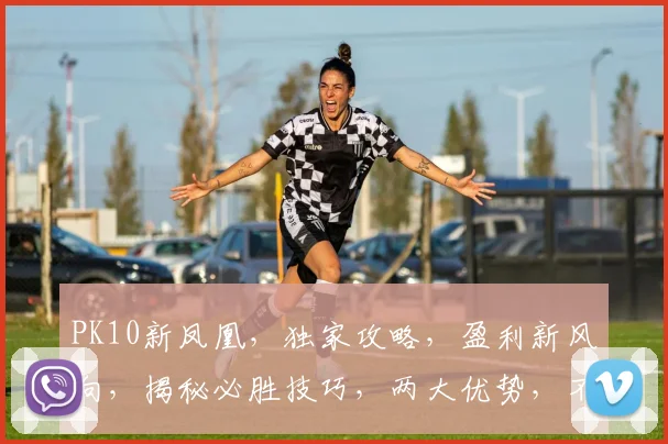 PK10新凤凰，独家攻略，盈利新风向，揭秘必胜技巧，两大优势，不容错过