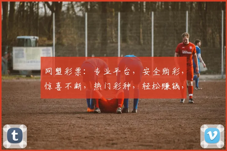 网盟彩票：专业平台，安全购彩，惊喜不断，热门彩种，轻松赚钱，快来体验