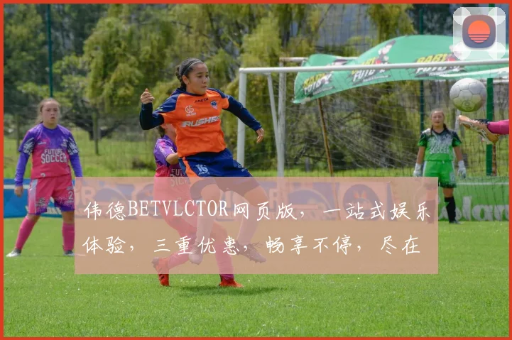 伟德BETVLCTOR网页版，一站式娱乐体验，三重优惠，畅享不停，尽在掌握