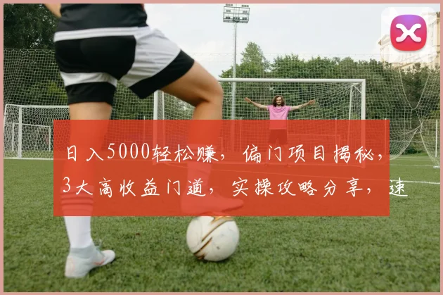 日入5000轻松赚，偏门项目揭秘，3大高收益门道，实操攻略分享，速来学习