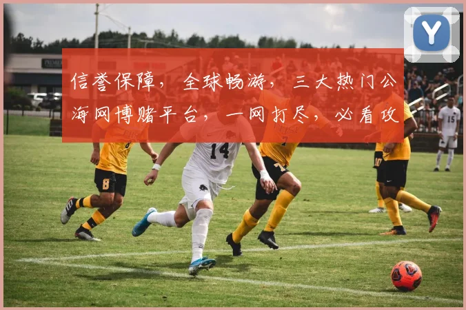 信誉保障，全球畅游，三大热门公海网博赌平台，一网打尽，必看攻略